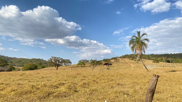 Fazenda de 120 Alqueires em Pirenópolis* - Foto 5
