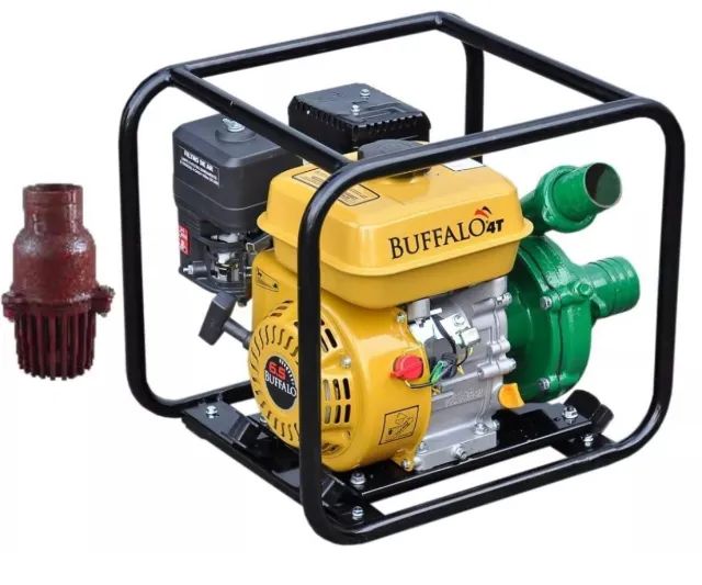 Motobomba (Buffalo) BFG 2.1/2X2POL Centrifuga (7Cv)
