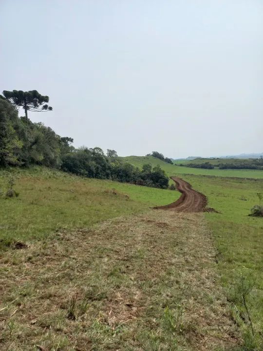 Chácara Faz. Ilhéus 2,0 Ha