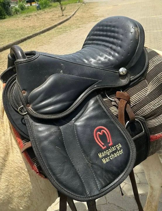 Sela Mangalarga Marchador - Foto 2