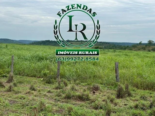 Fazenda 512 Alqueires Dupla Aptidão - Foto 2