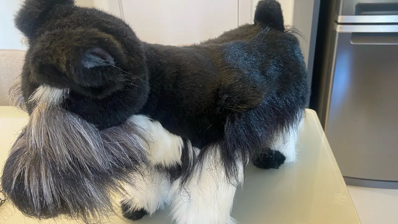  Schnauzer 45/30cm - Foto 3