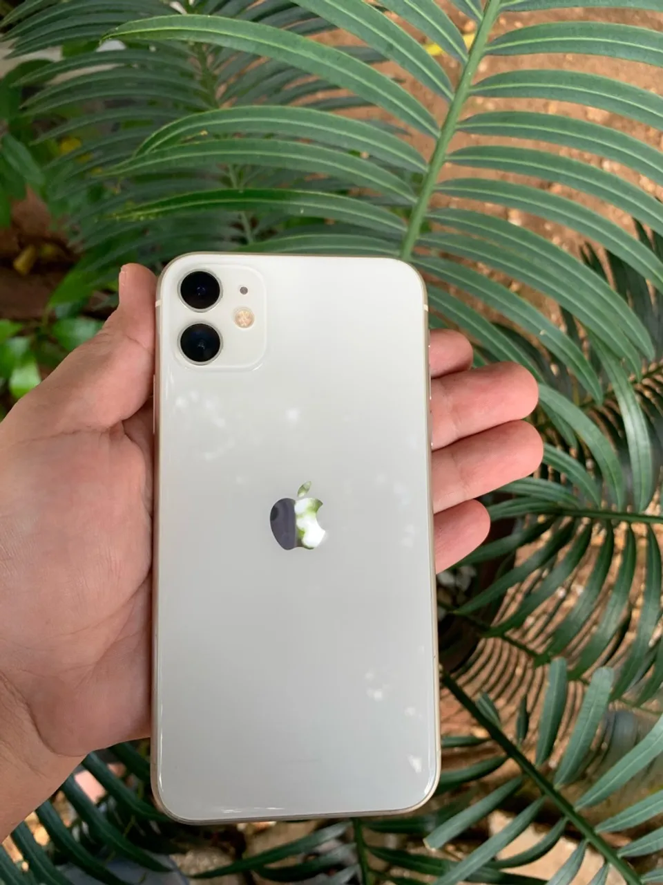 iPhone 11