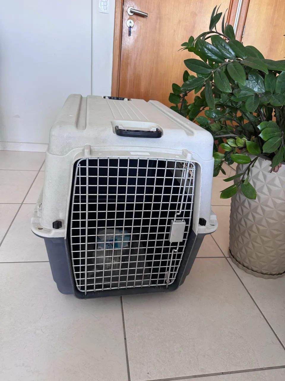 Caixa de transporte para pets64672973835137120