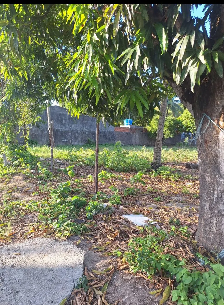 Terreno no Village campestre