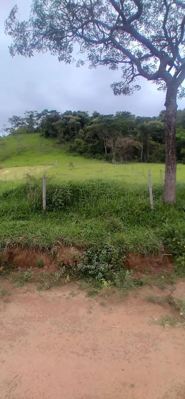 Foto - Juiz de Fora - Centro