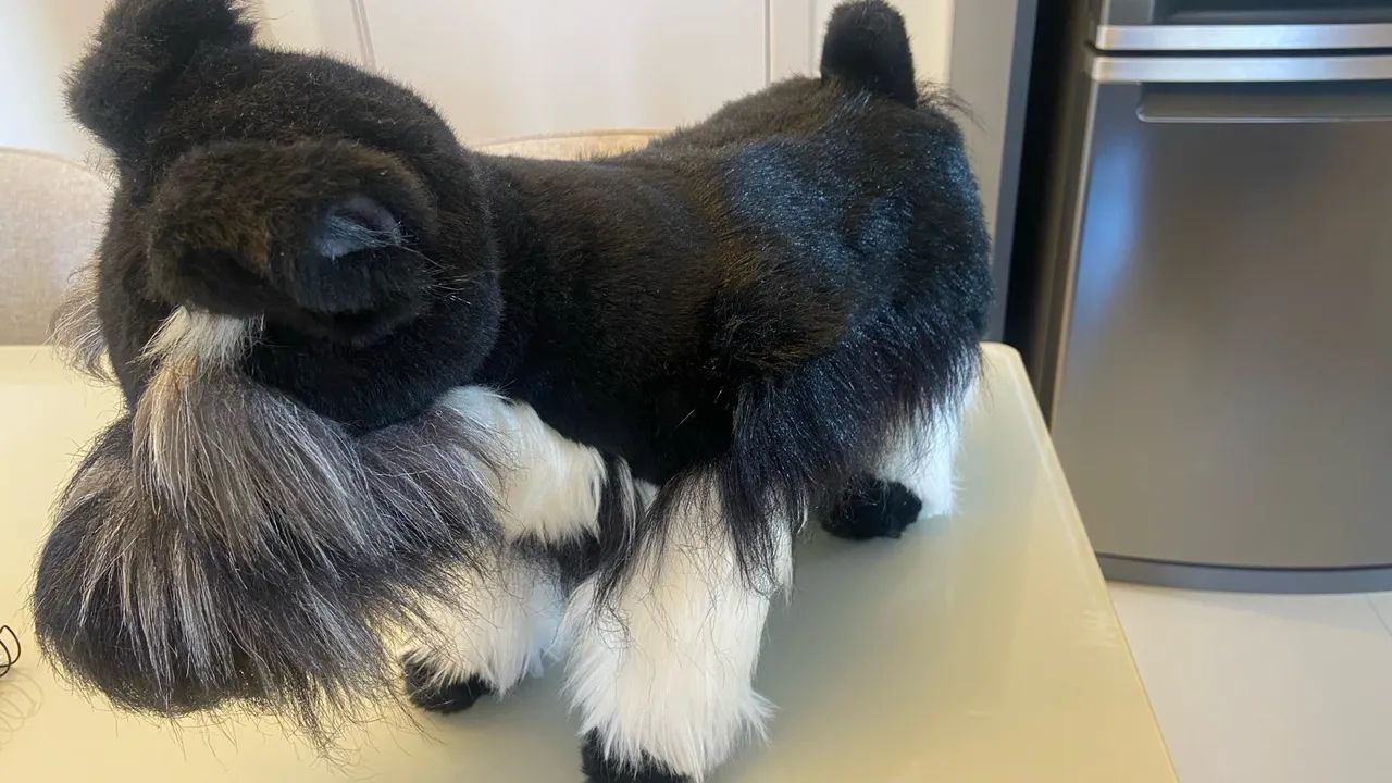  Schnauzer 45/30cm - Foto 2