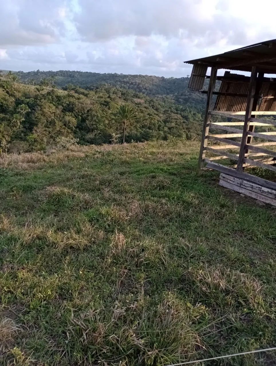 Vendo excelente sítio em Valença Bahia  - Foto 5