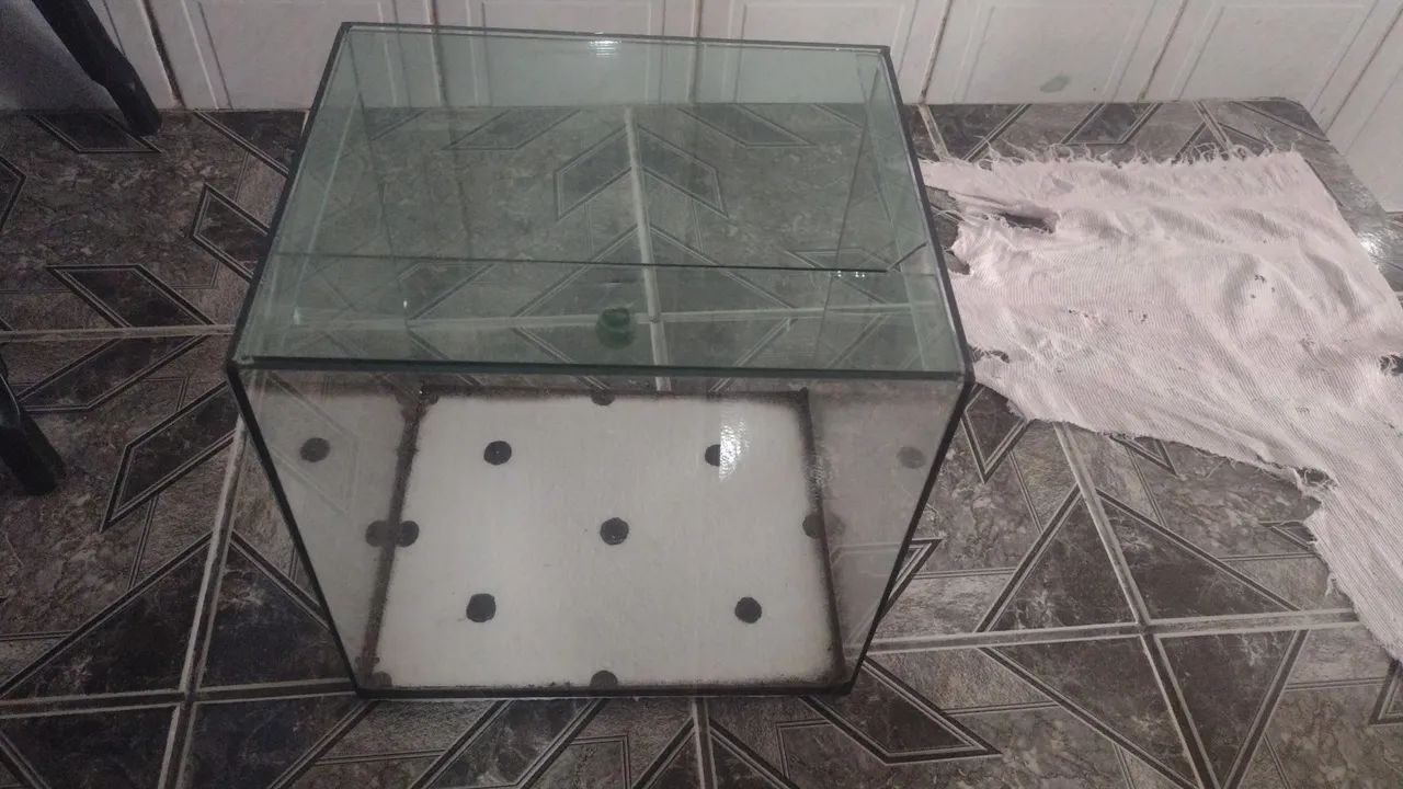 Aquários parecido com cubo- 2 tamanhos - Foto 2