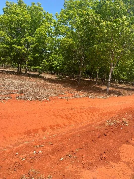 Fazenda Tocantis com 136 Alqueires - Minicipio de Cristalandia - TO