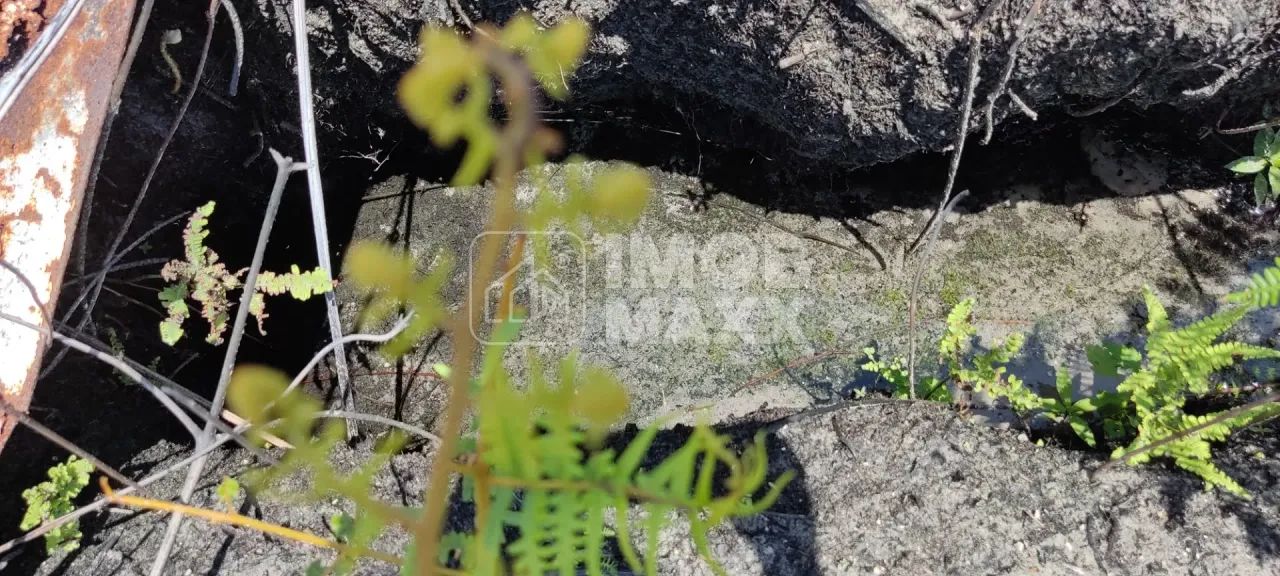 Chácara a venda NR Euller Paranhos - terra nua - 28000 m² - Escriturada e Registrada. - Foto 14