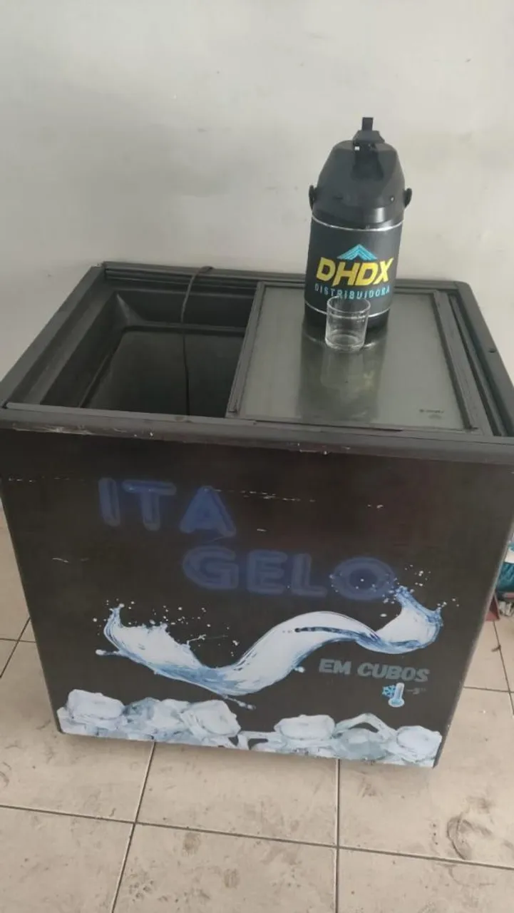 Freezer Horizontal Consul