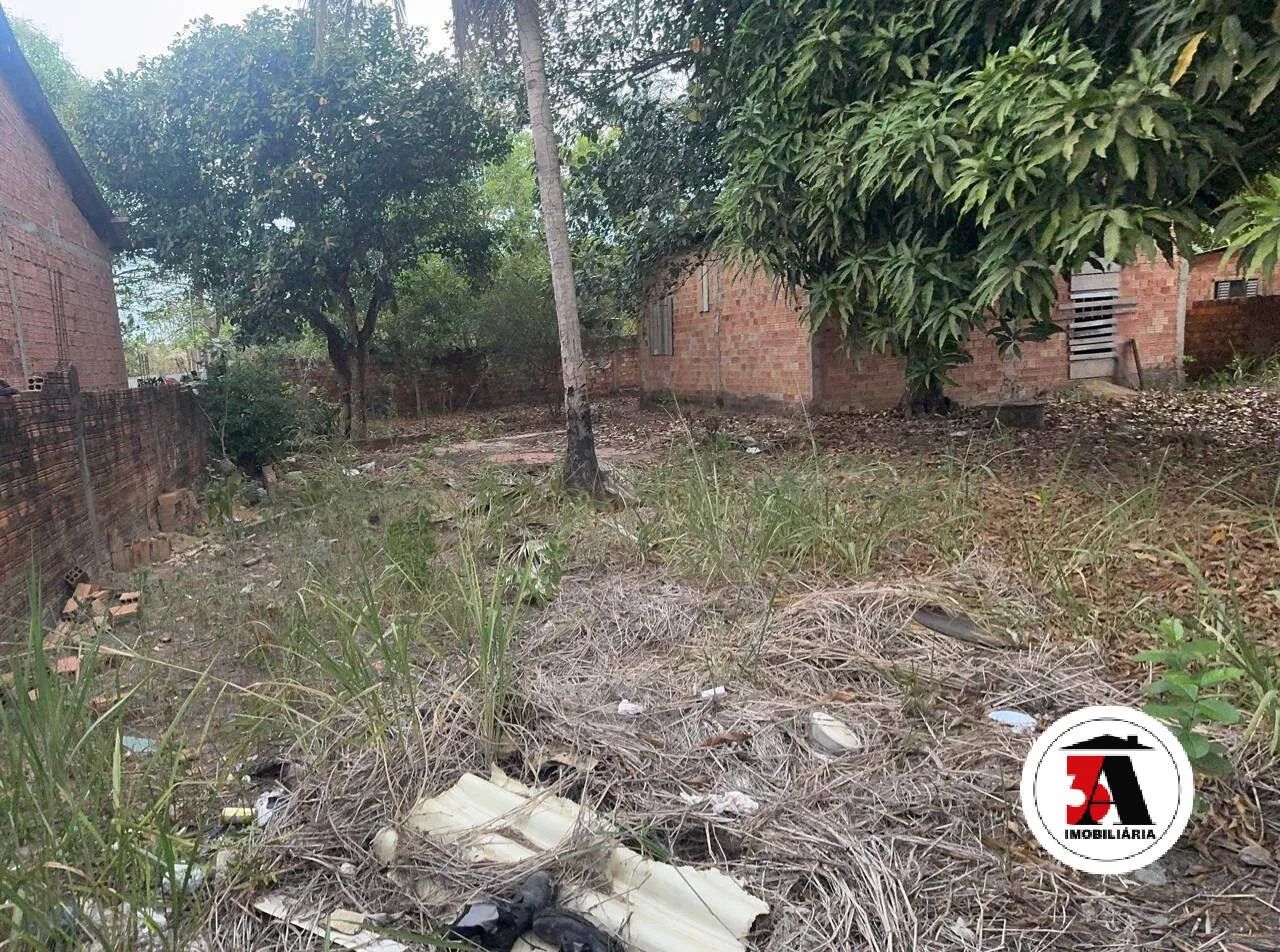 600M2 Teixeirão Zona Leste - Foto 2