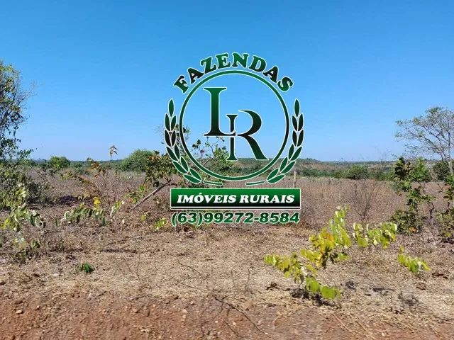 Fazenda 119 Alqueires Vale do Araguaia - Foto 5