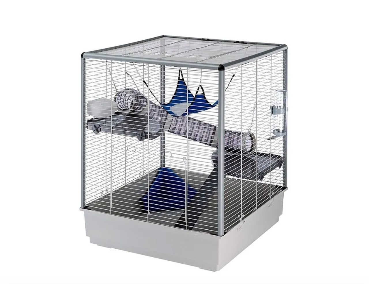 Caiola grande.64168482553091120