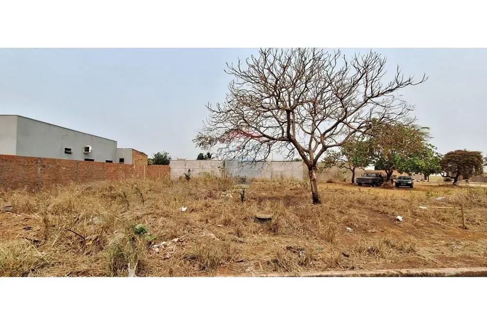 "Oportunidade: Terreno 360m² no Parque São Jorge" - Foto 4