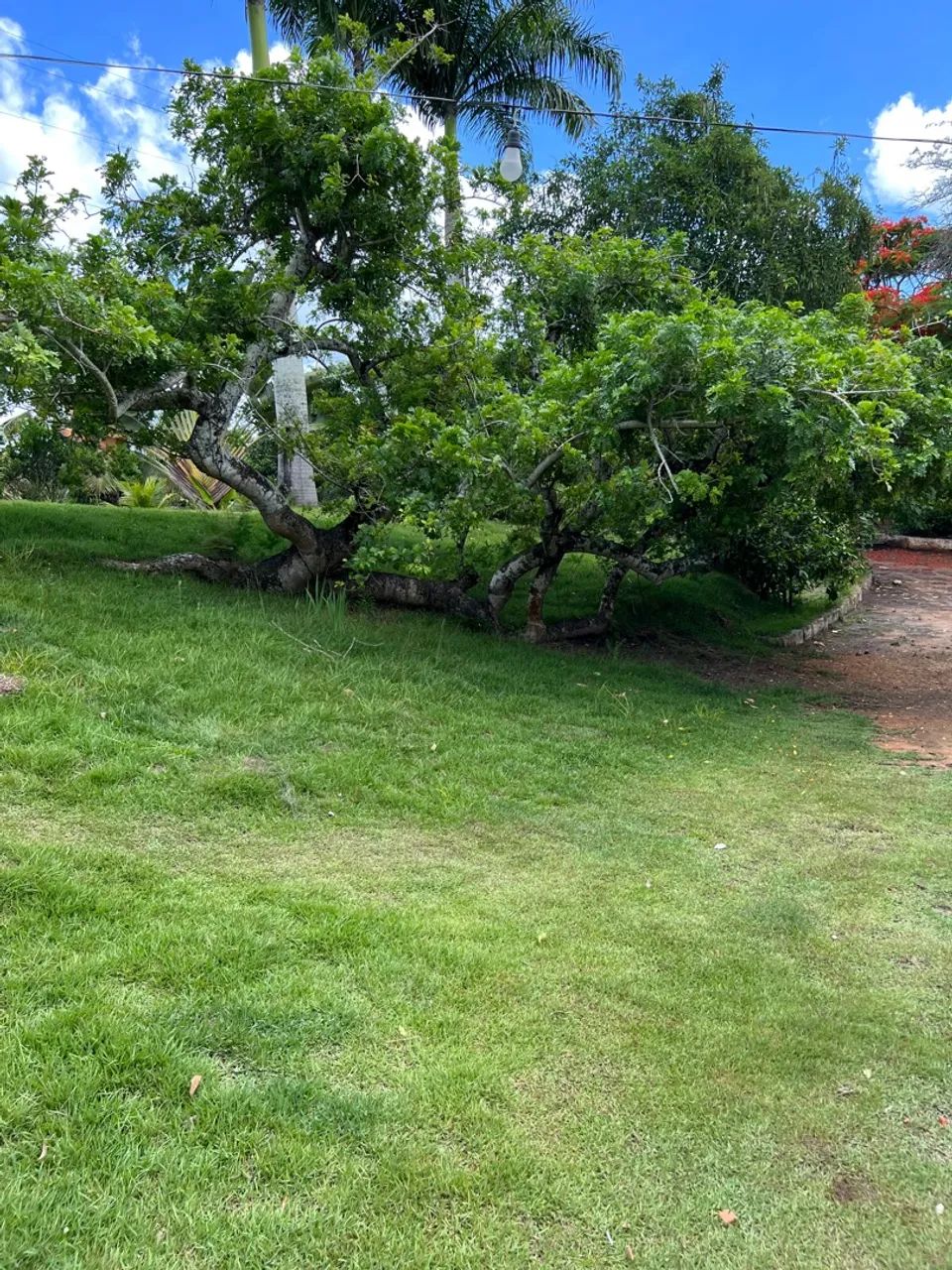 Área com 7 Hectares à Venda - Glória do Goitá-PE - Foto 5