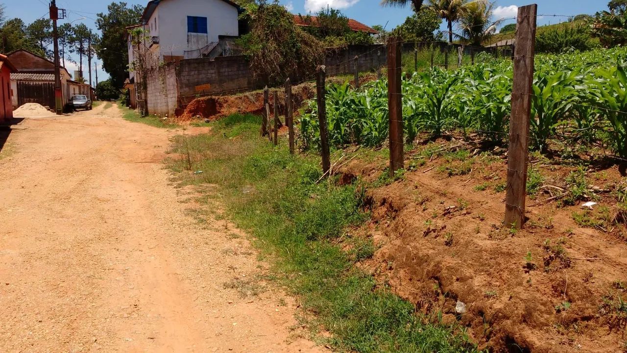 Procurando um terreno? - Foto 5
