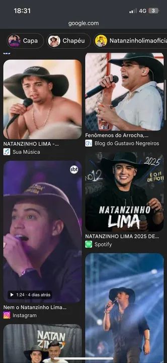 Chapéu Cata Ovo Natanzinho lima Caminhoneiro muladeiro countr Feltro Tradicional Aba Larga - Foto 3