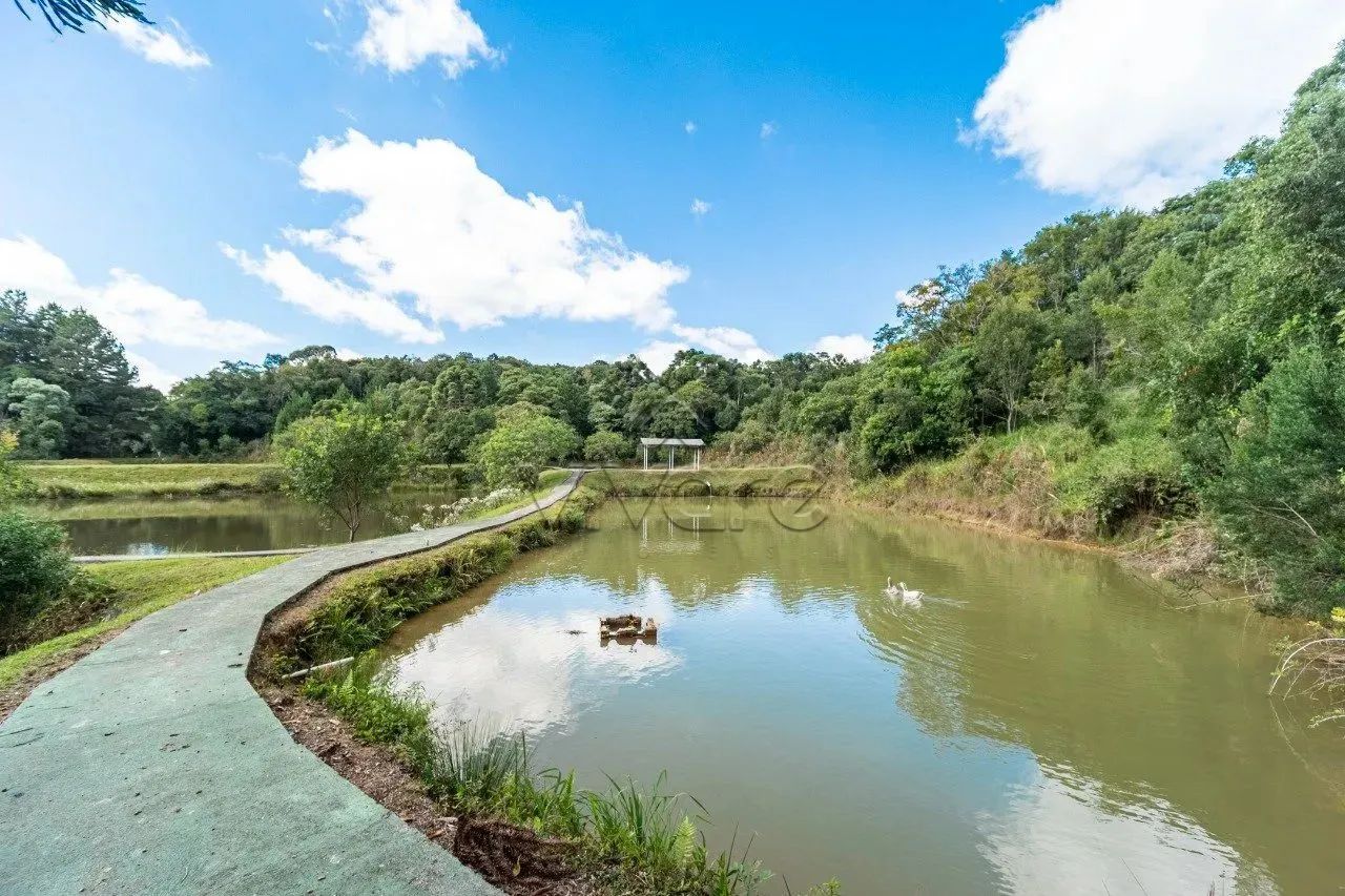 Chácara a 40 minutos de Curitiba em frente a BR-116 Mandirituba à venda - Foto 2