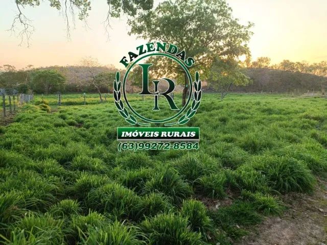 Fazenda 74 Alqueires  Tocantins Região de Araguaina - Foto 2