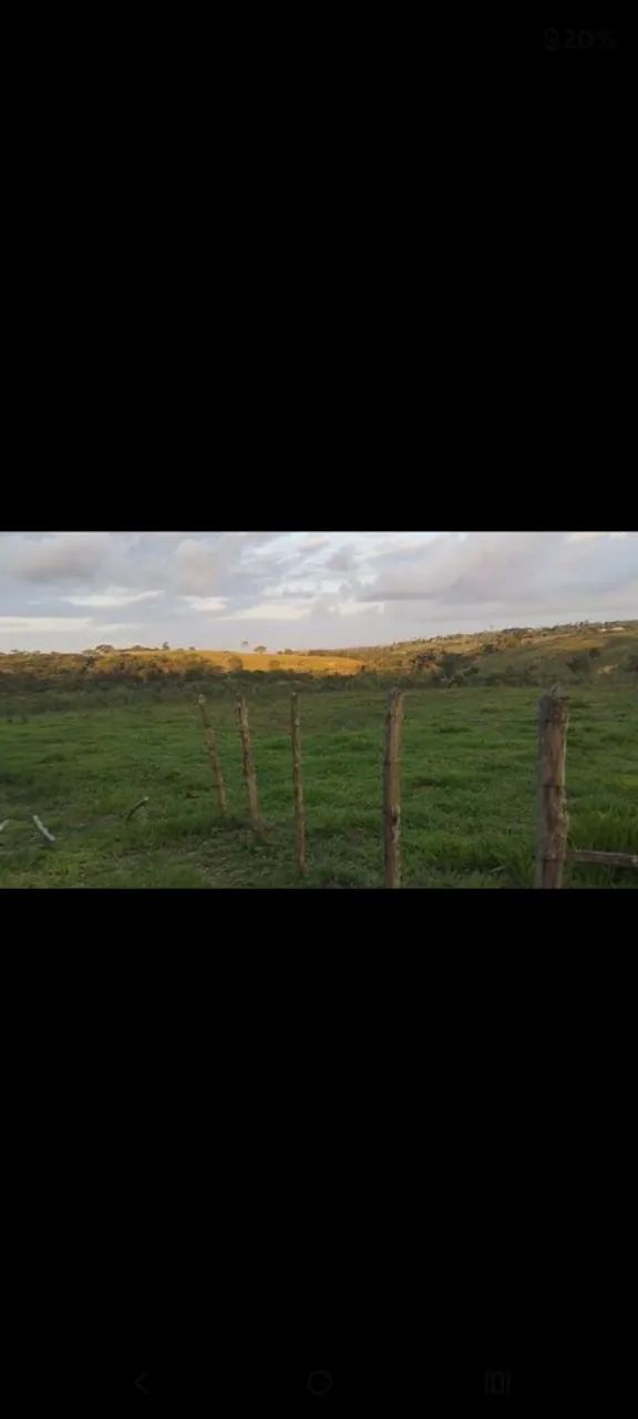 Foto - Aracaju - América