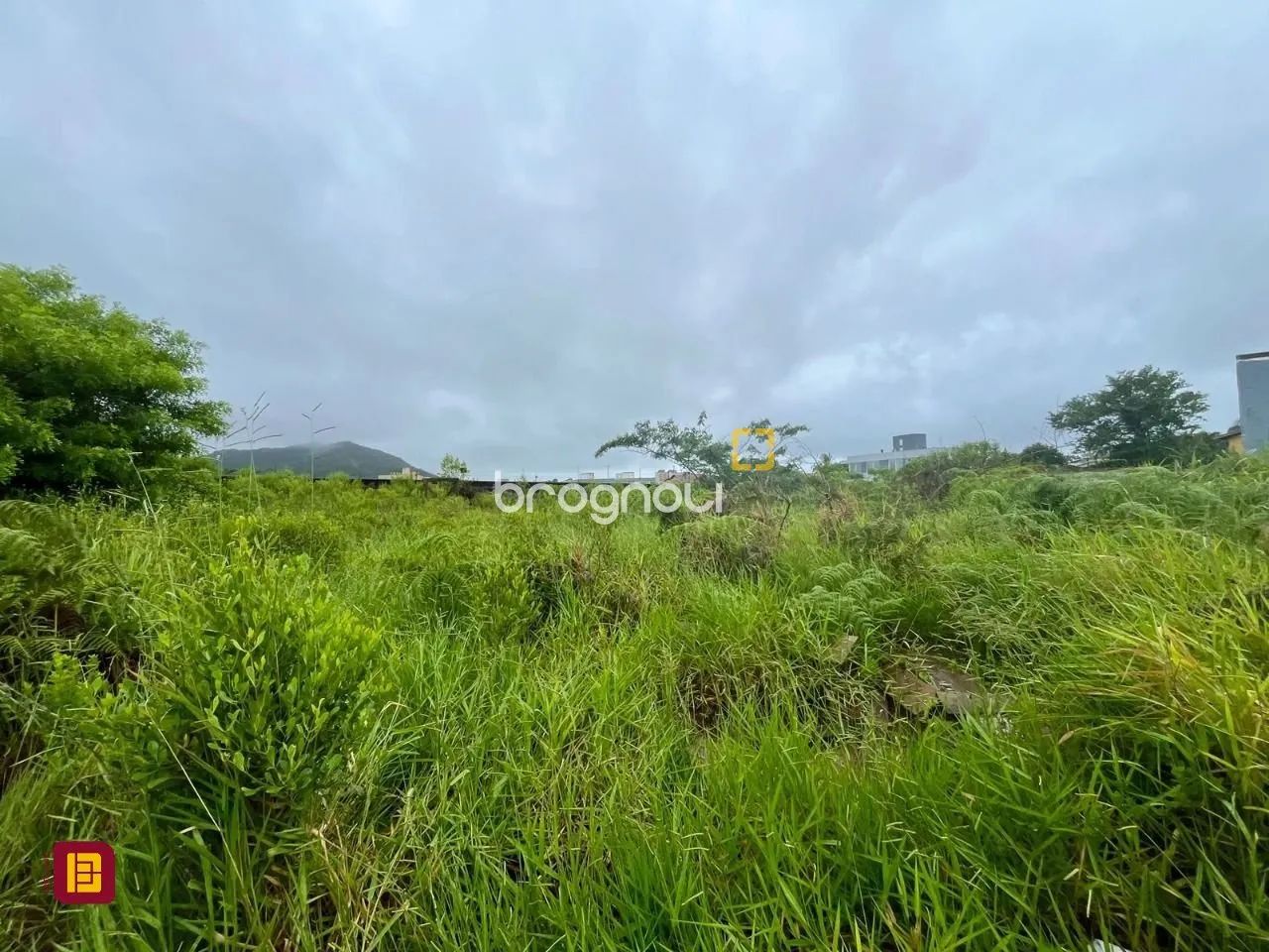 TERRENO DE 461M² À VENDA NO CAMPECHE. - Foto 4