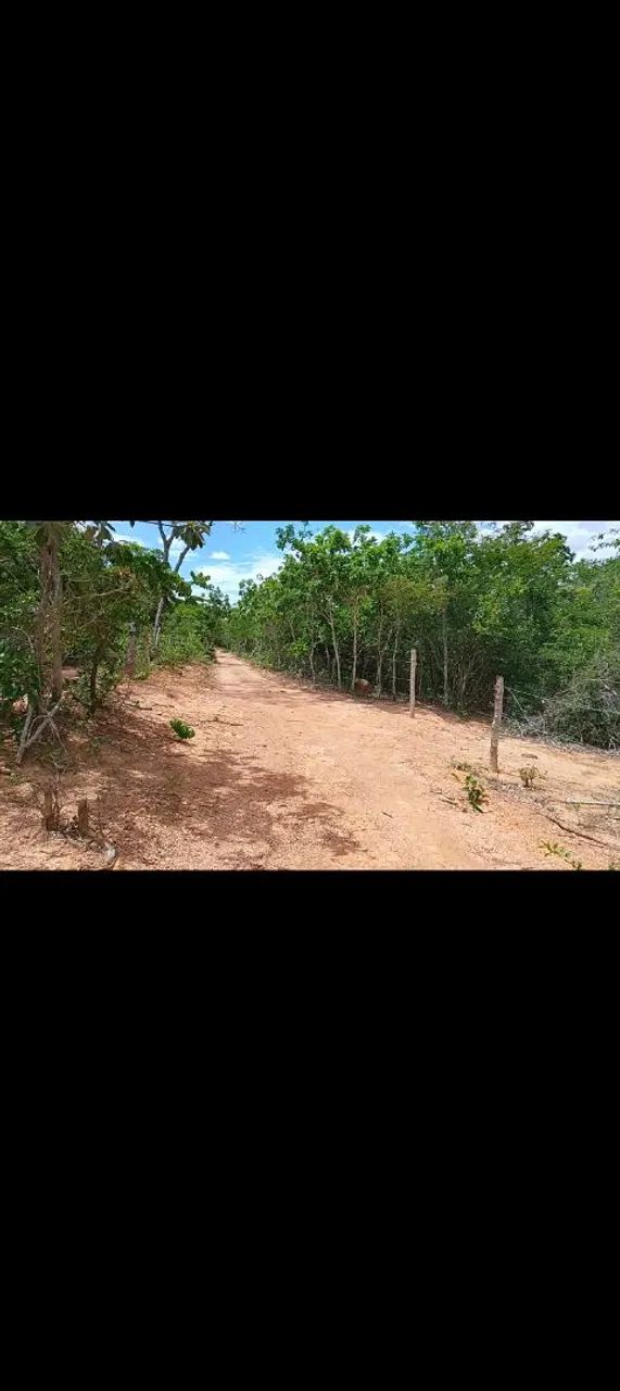 Venda terreno  - Foto 3
