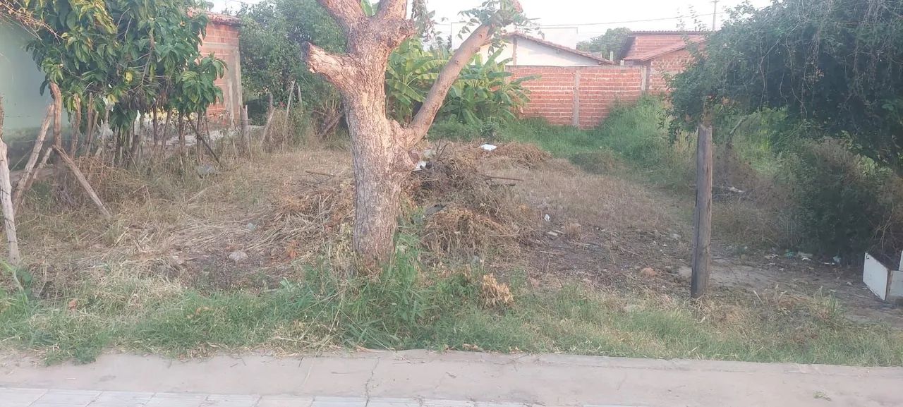 terreno na cidade de altos . - Foto 4