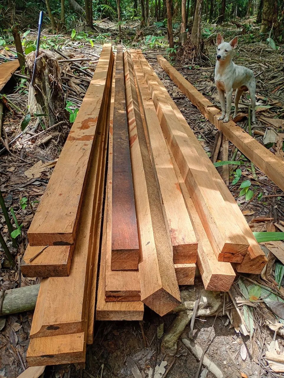 Madeira a venda  - Foto 2