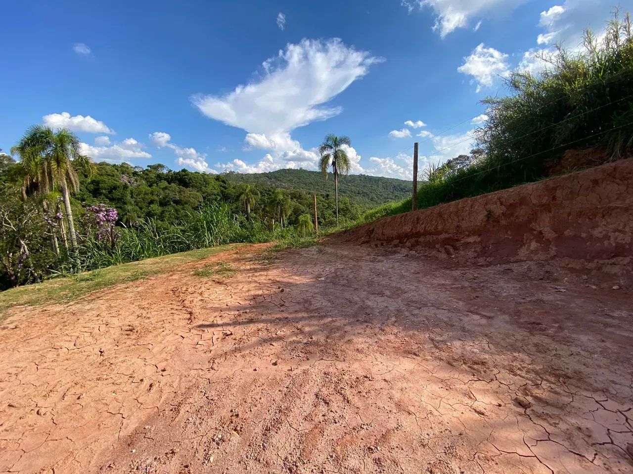 Terreno Plano e Entrada Baixa / Perfeito para sua Chácara - Foto 4