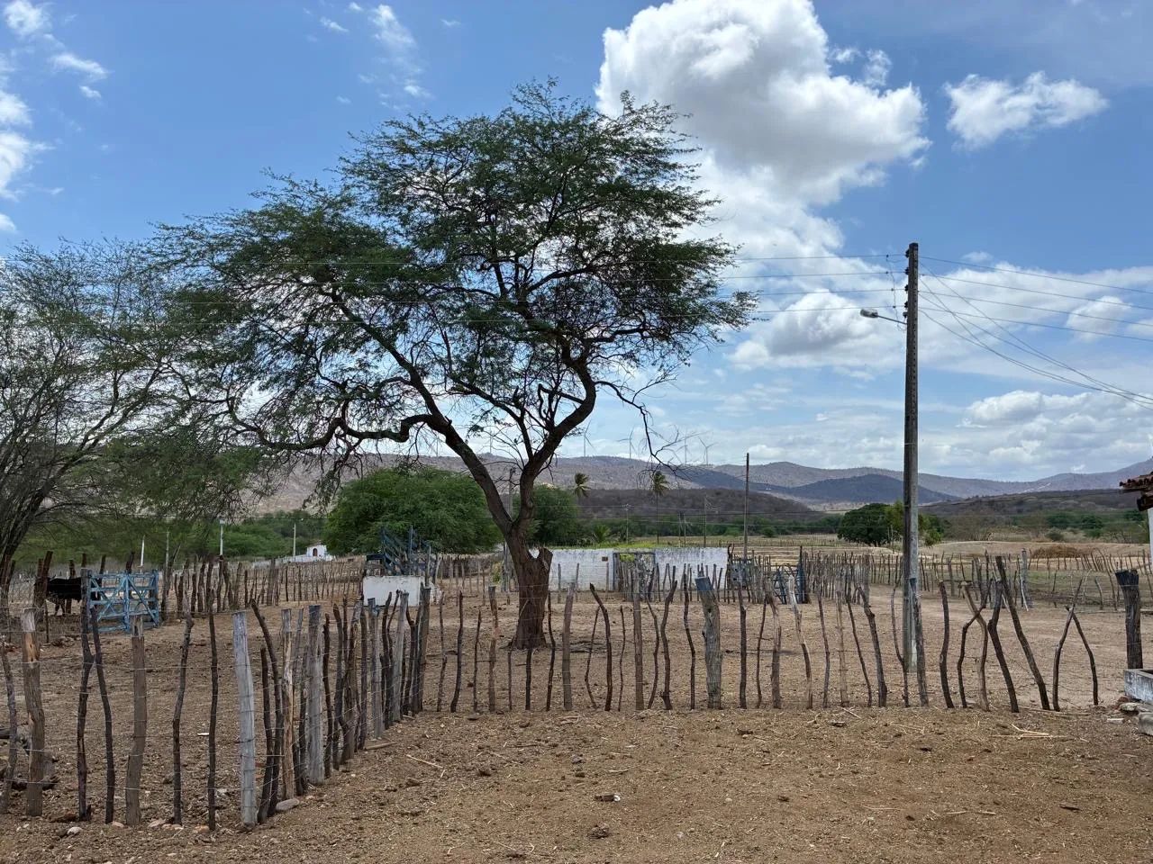 Fazenda com 39,4 hectares em São Tomé  - Foto 2