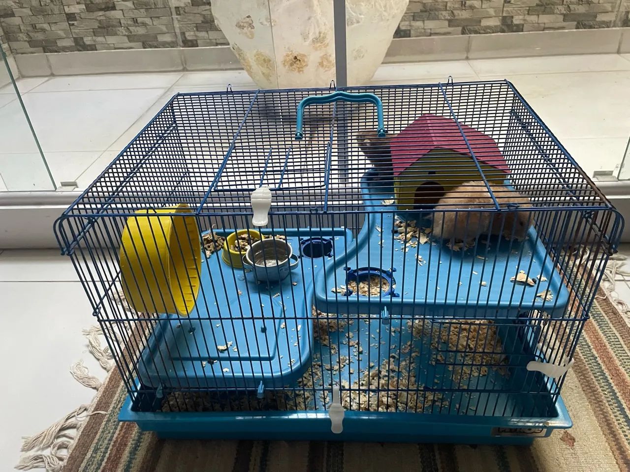 Hamster - Foto 4