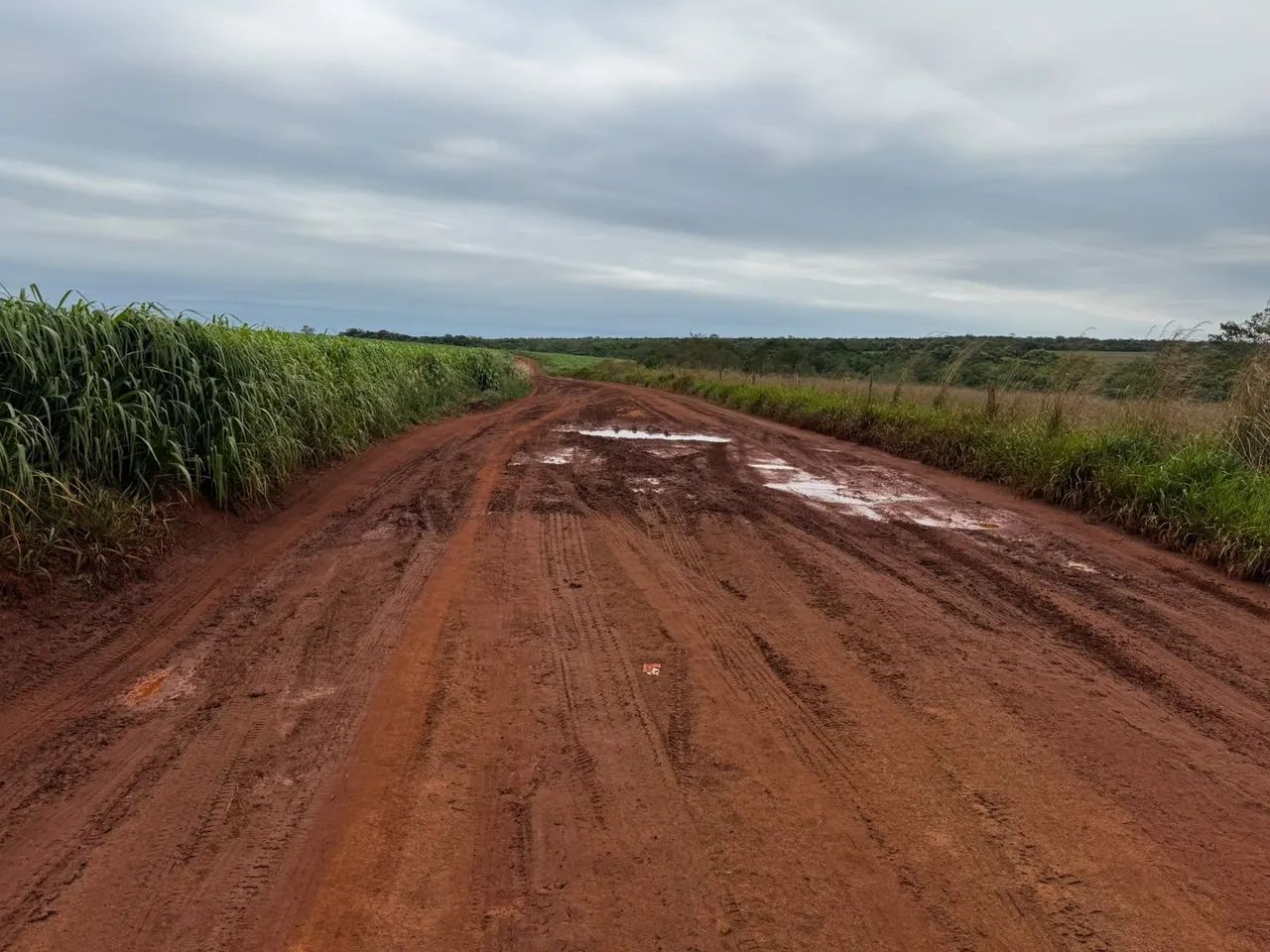 Fazenda de arrendamento Soja, 670 hec em nova alvorada MS. - Foto 5