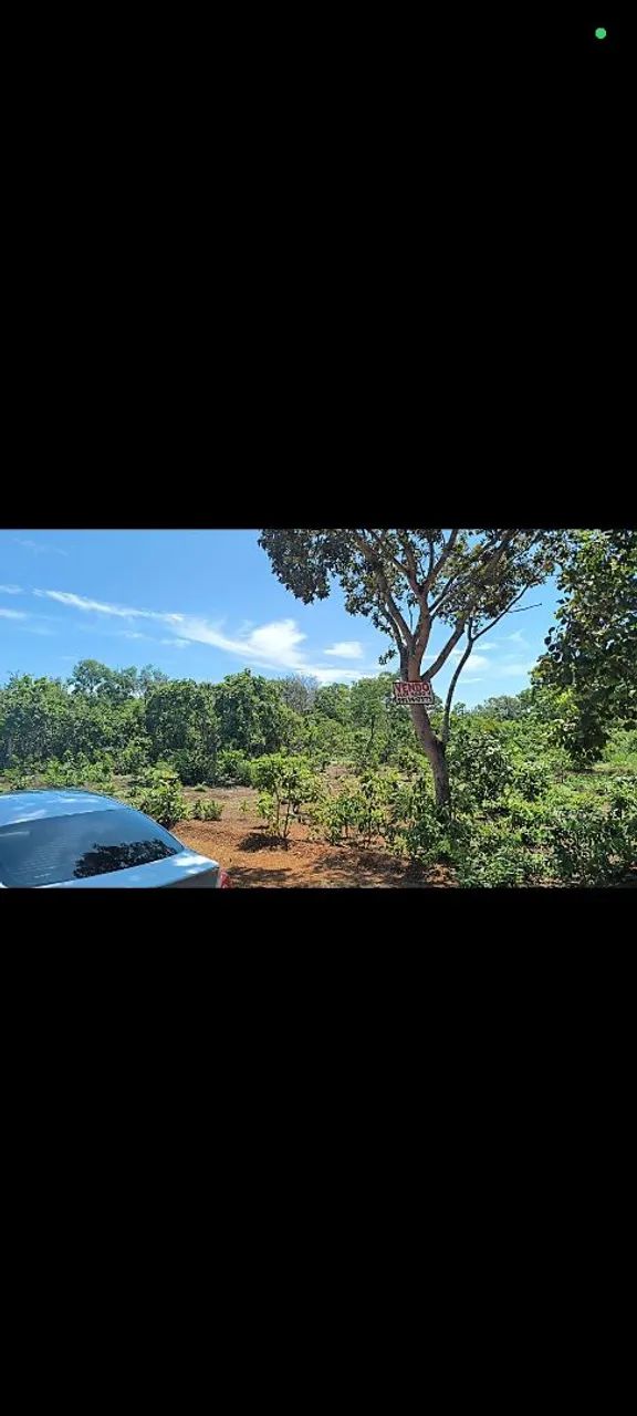 Lote Industrial/Chácara  - Foto 4