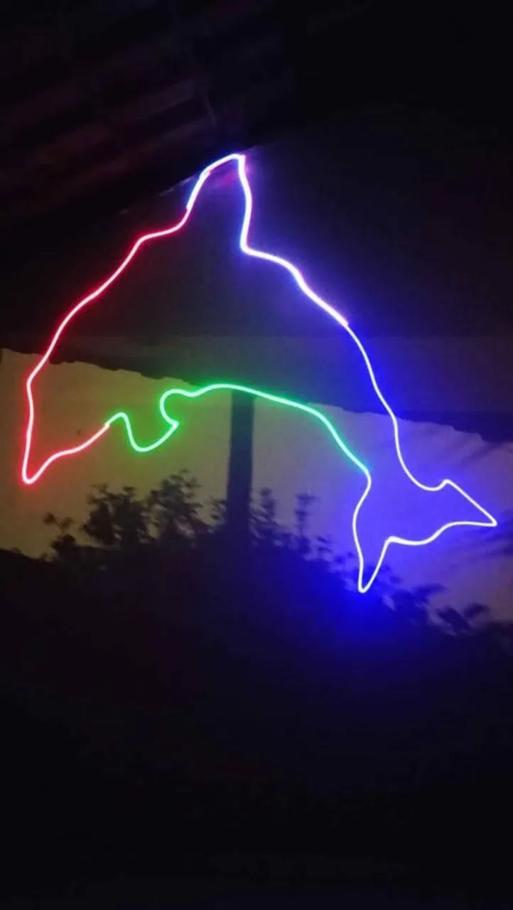 Laser colorido show dmx - Foto 4