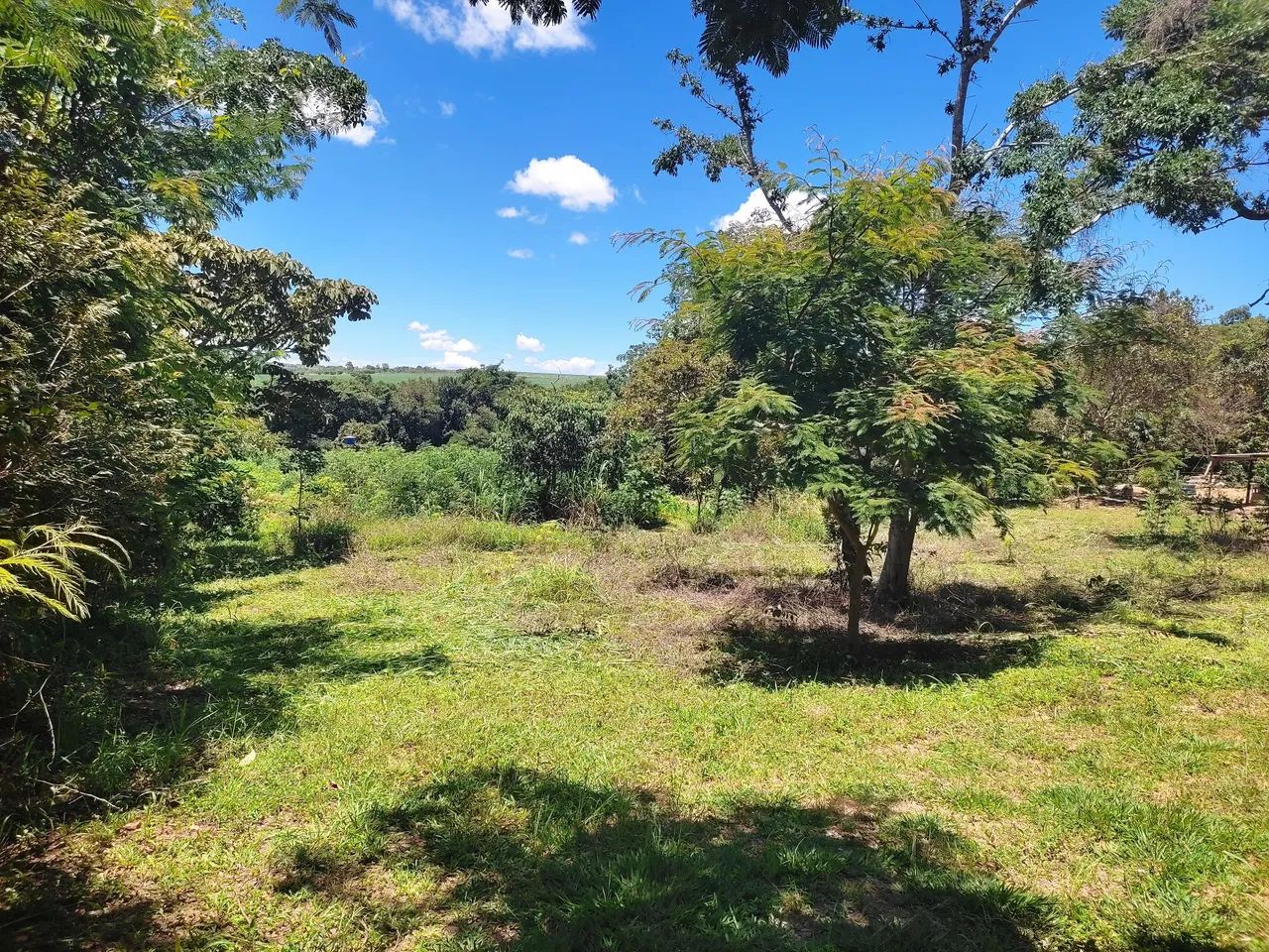 Foto - Anápolis - Bandeiras