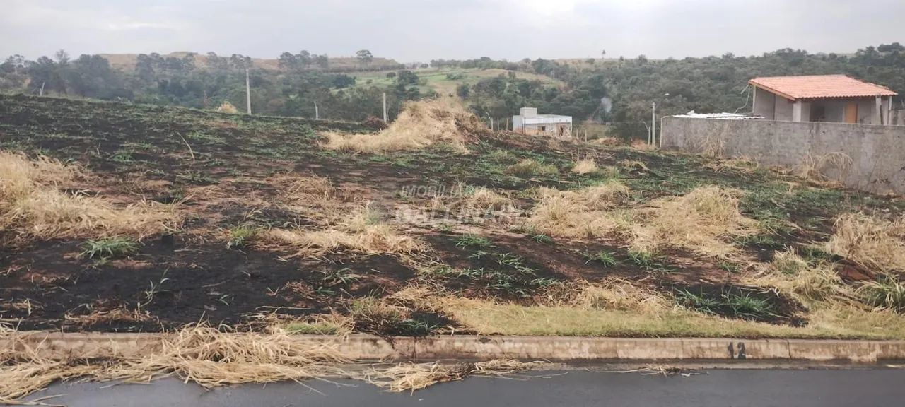 terreno - Vila São Bento - Campinas - Foto 5