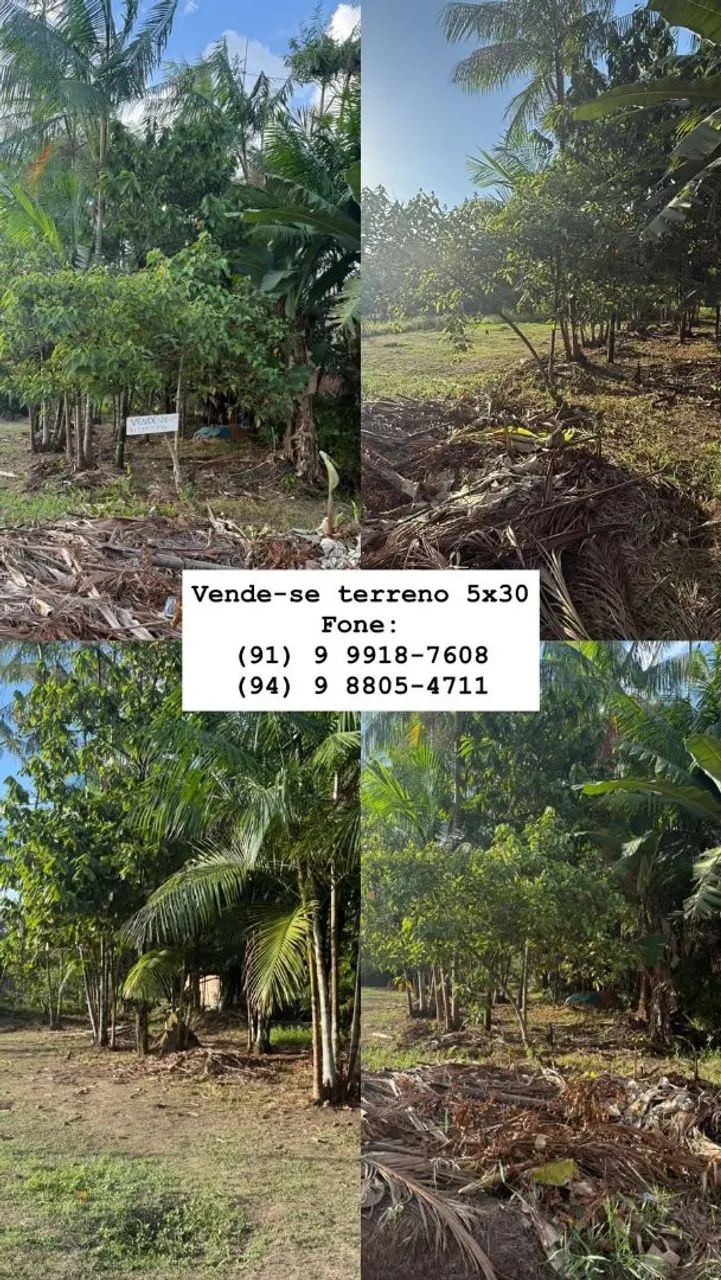 terreno 5x30