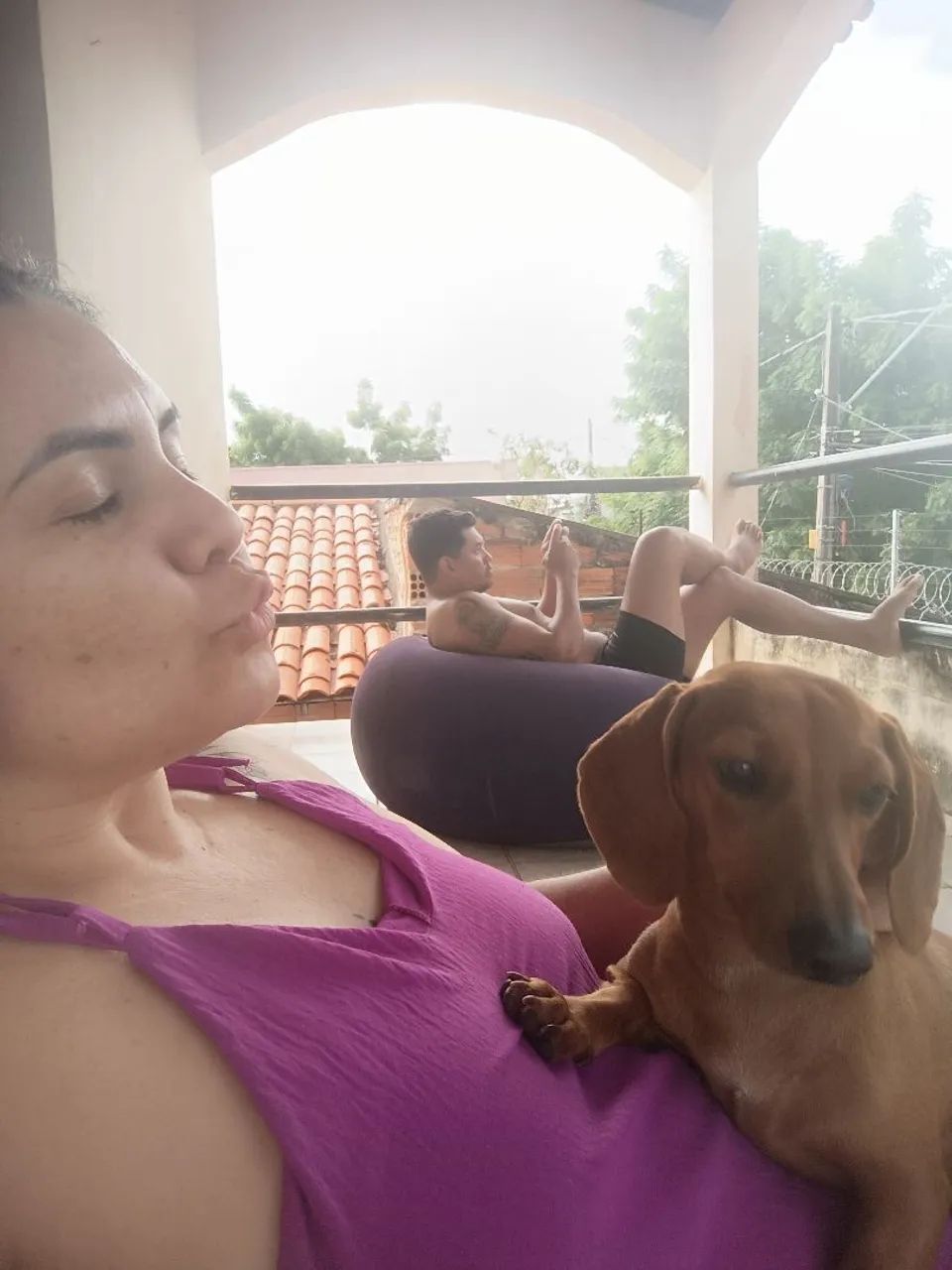 Procura-se namorado salsicha (dachshund) - Foto 2