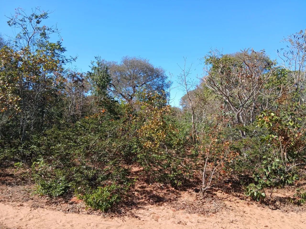 Chácara - zona rural de Mirabela - Foto 2