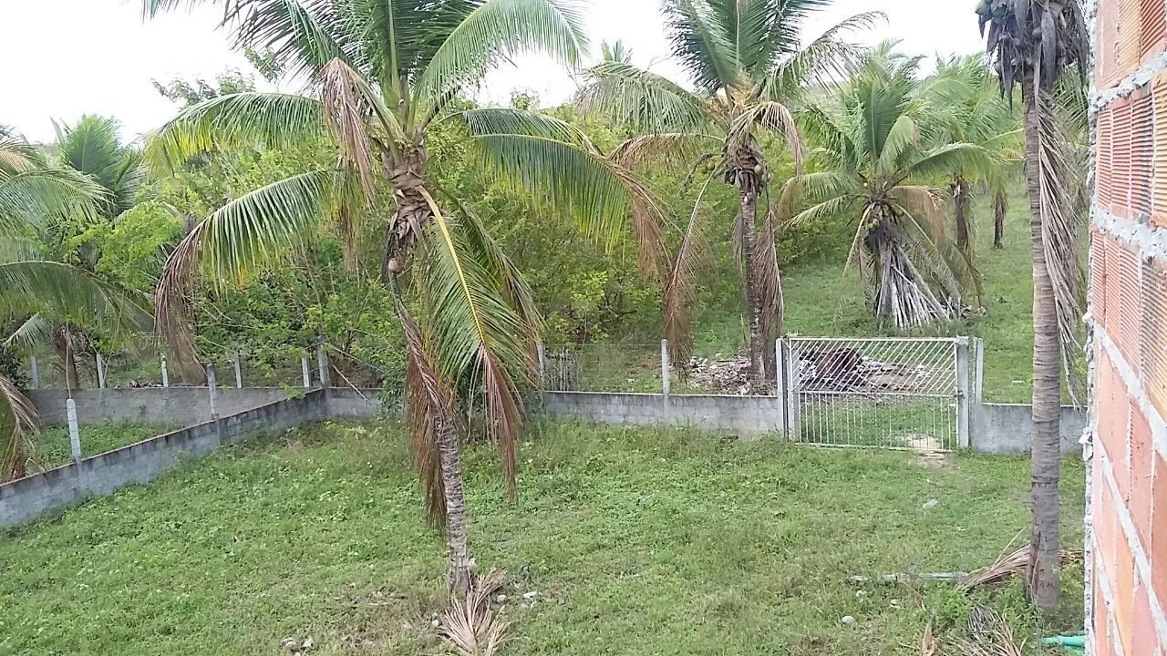 Sítio em Esplanada-BA - Foto 3