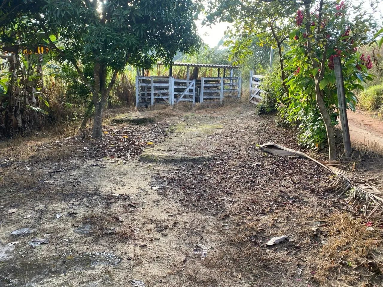 Vende se chácara em Rio manso Mg - Foto 5