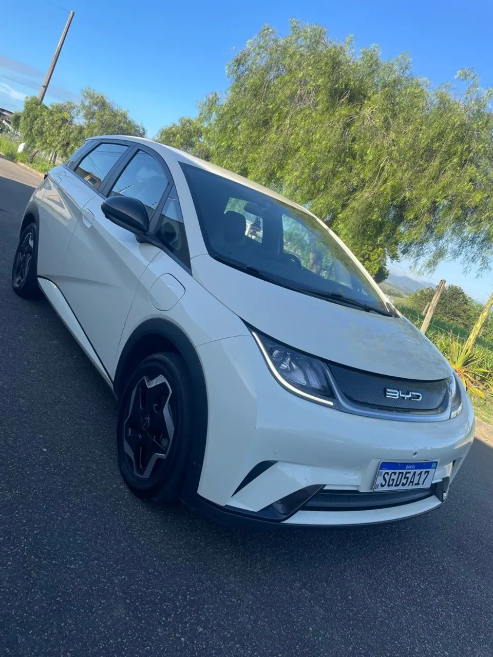BYD Dolphin EV (Elétrico) 2024