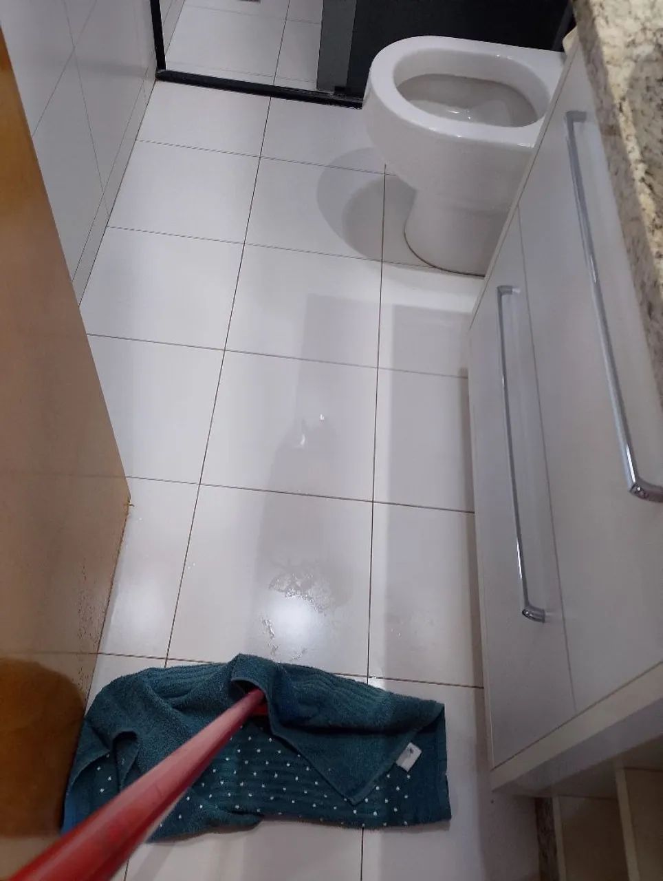 Diáriarista de limpeza 