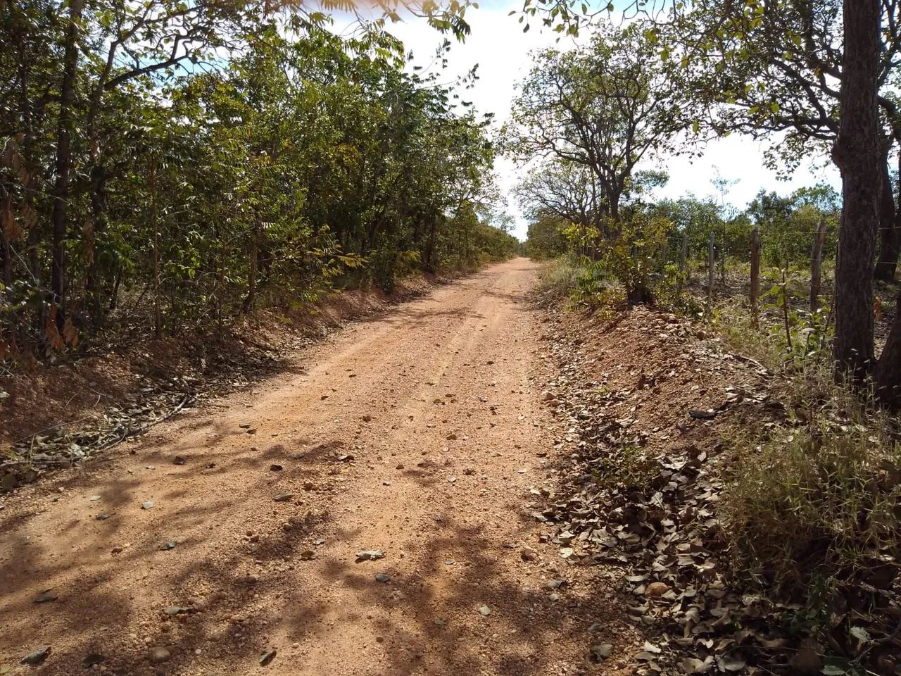 Foto - Sete Lagoas - São Francisco de Assis