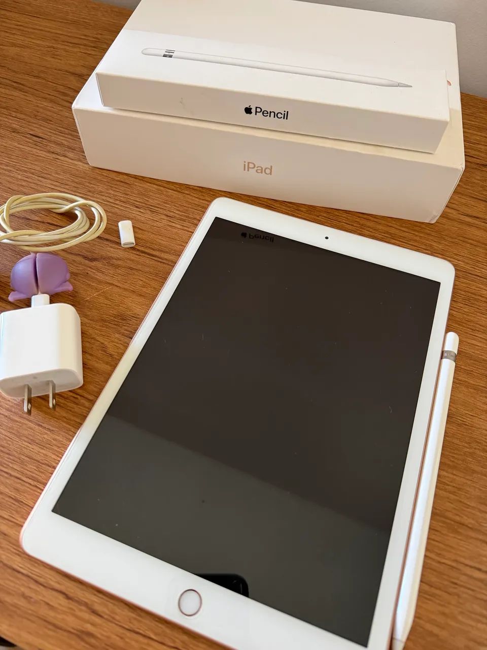 iPad 8 geração 32 gb + Apple Pencil - Tablets e E-Readers - Norte