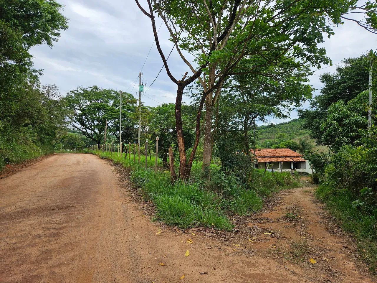 Sítio em Crucilândia  - Foto 4