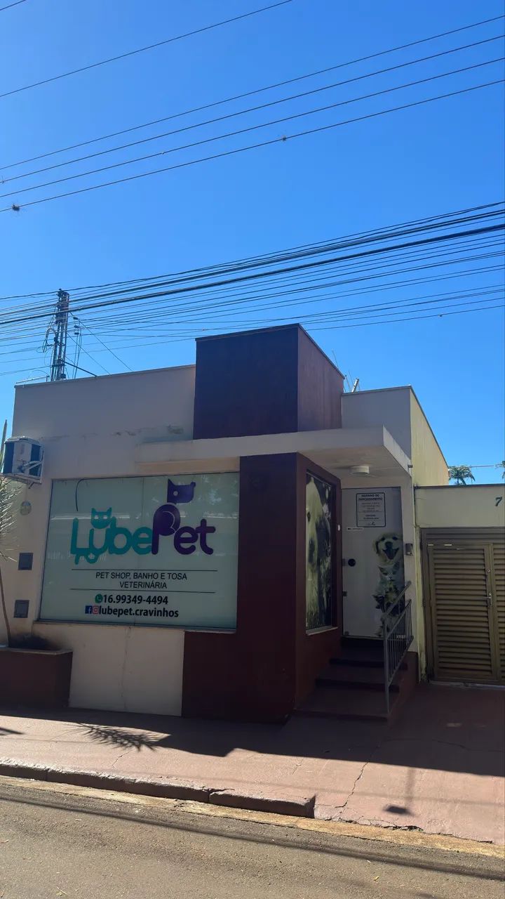  petshop : passo ponto - Foto 2