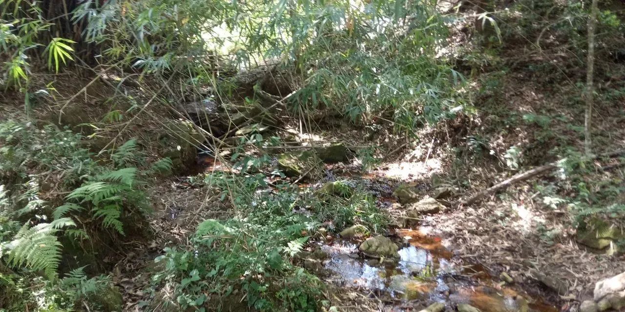 Imóvel para venda possui 65000 metros quadrados em Área Rural de Pinhalzinho - Pinhalzinho - Foto 11
